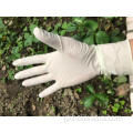 8milラテックス滅菌医療手袋